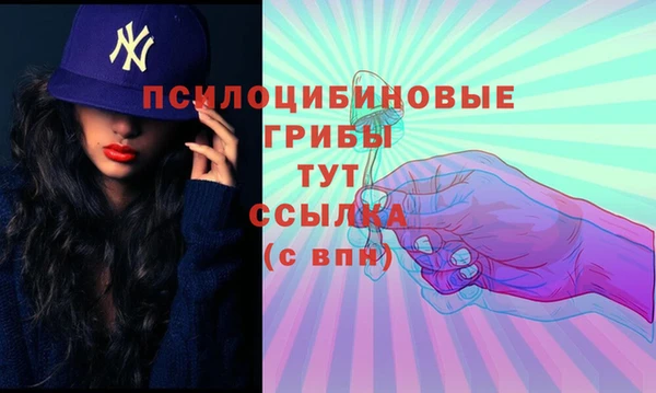 СК Сафоново