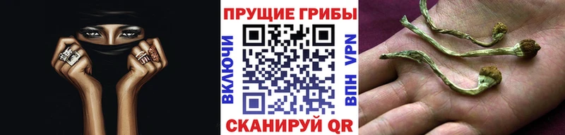 Галлюциногенные грибы Psilocybine cubensis  Остров 